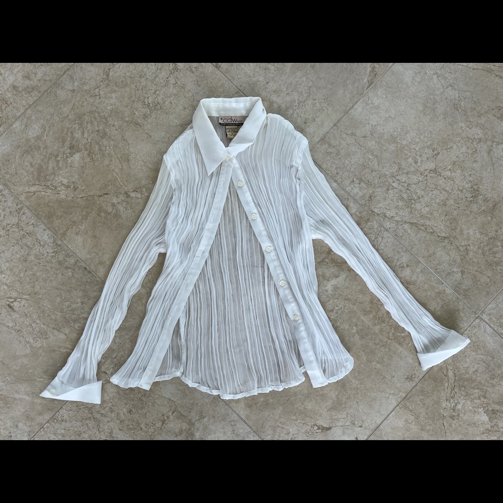 vintage sheer long sleeve top